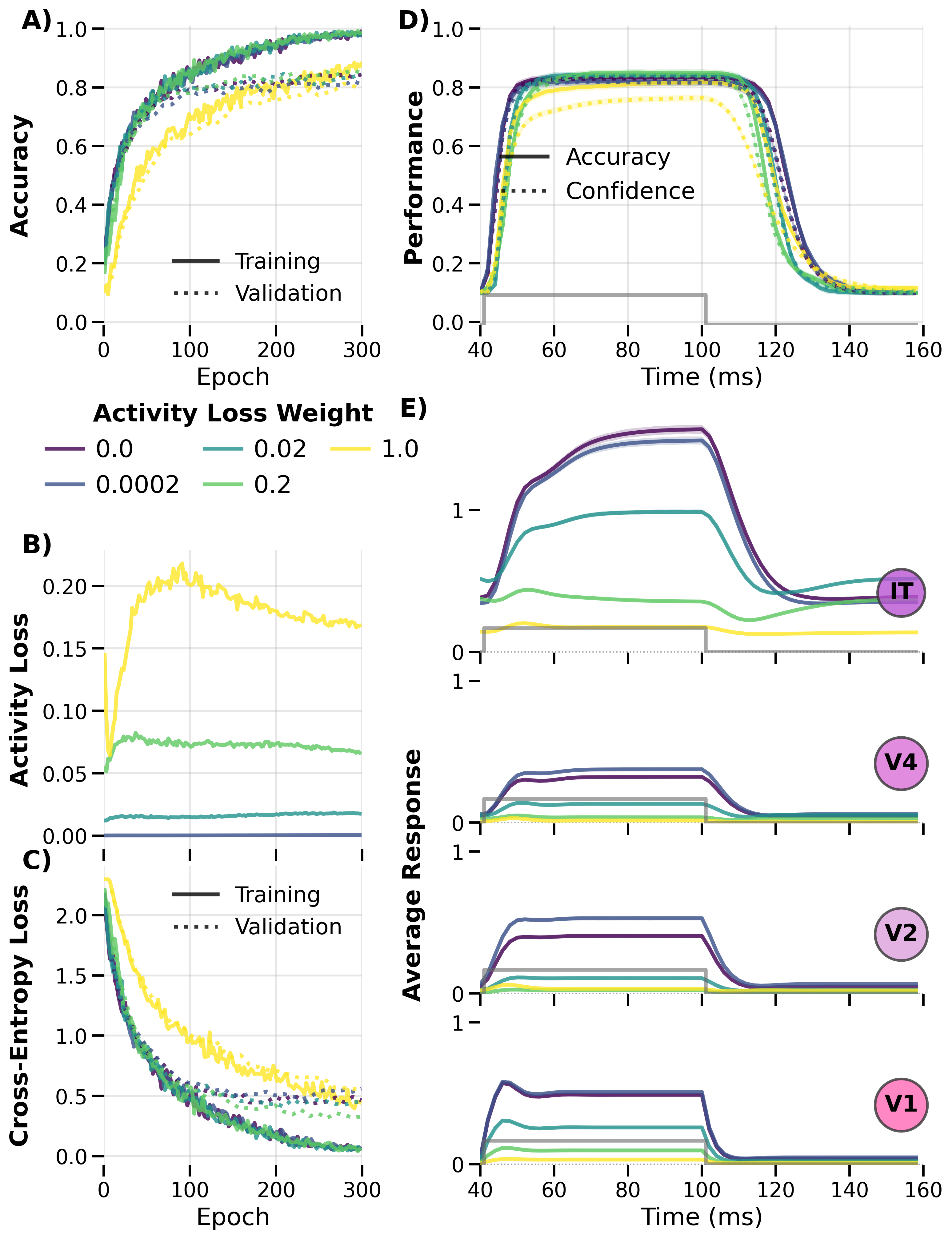 Training dynamics with activity loss