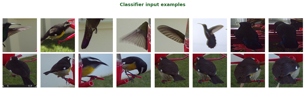 Classifier input examples
