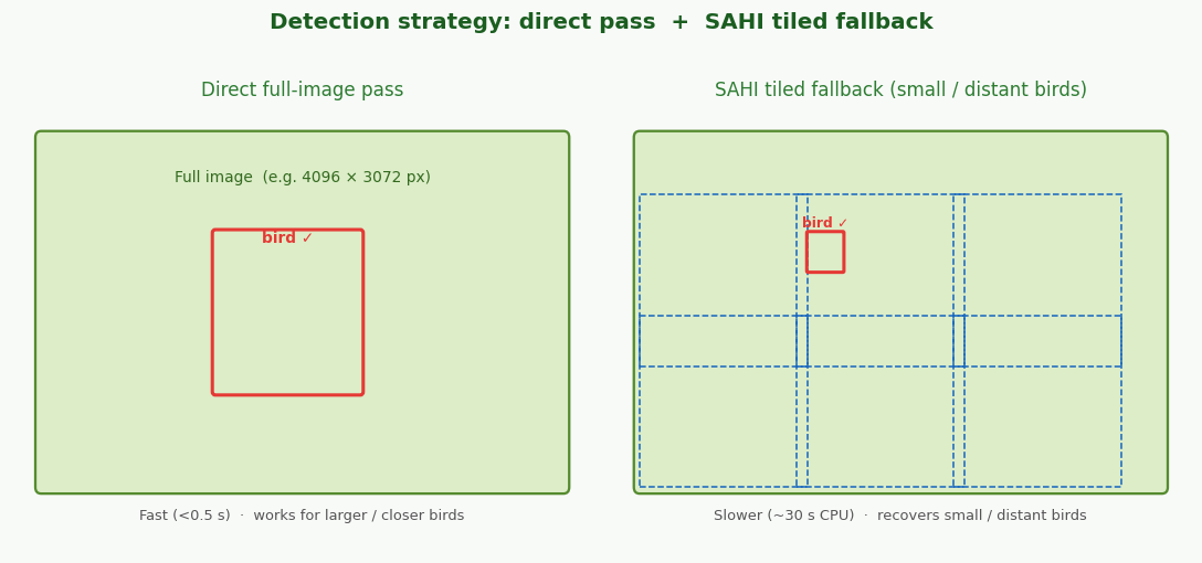 Detection strategy