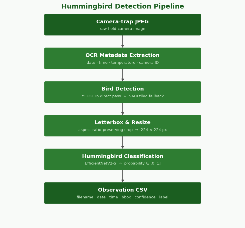 Hummingbird Detection Pipeline